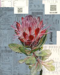 Protea_2023