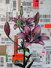 Lily on parcel label_42x56cm_2022